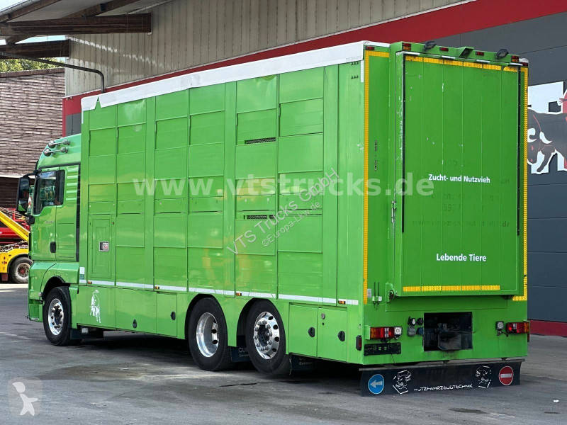 شاحنة MAN TGX 6x2 3.Stock Cuppers, Lenk-/Lift