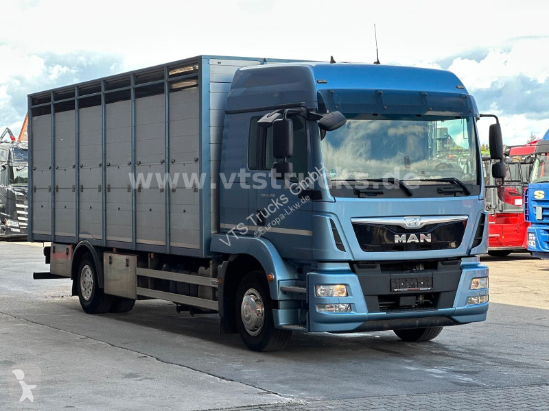 Camión MAN TGM 15.290 1 Stock Köstner Viehaufbau
