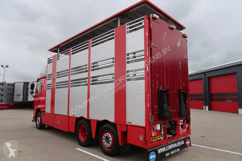 Camion DAF 480 M4SN3 - Livestock transport