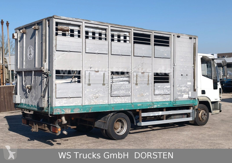 Lastbil Iveco ML 1Q Viehtransporter 1 Stock