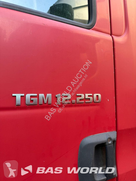 Camión MAN tgm 12.250