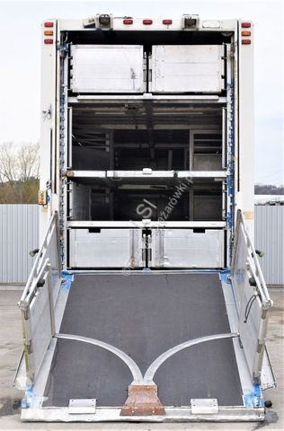 Lastbil Scania R 500 TIERTRANSPORTWAEN 7,10m /...