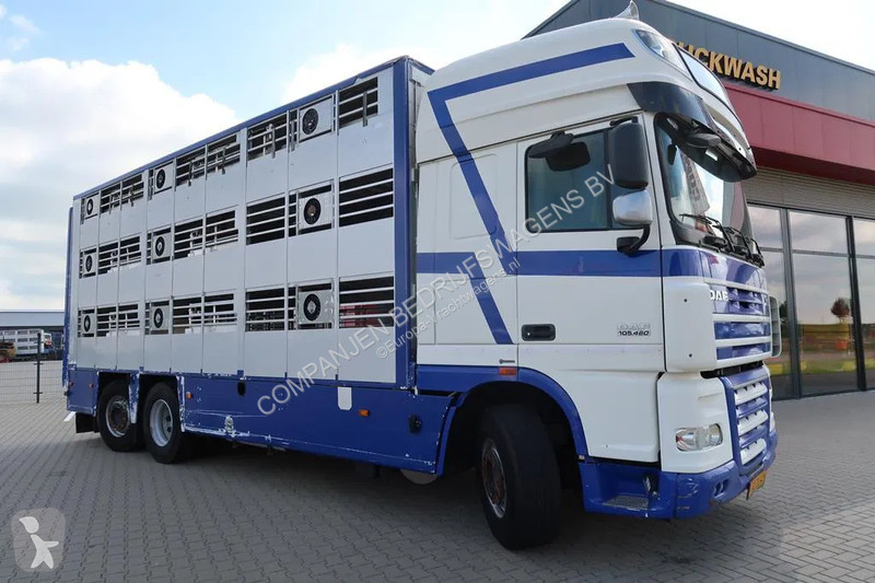 Camion DAF 105 105-460 - 2012