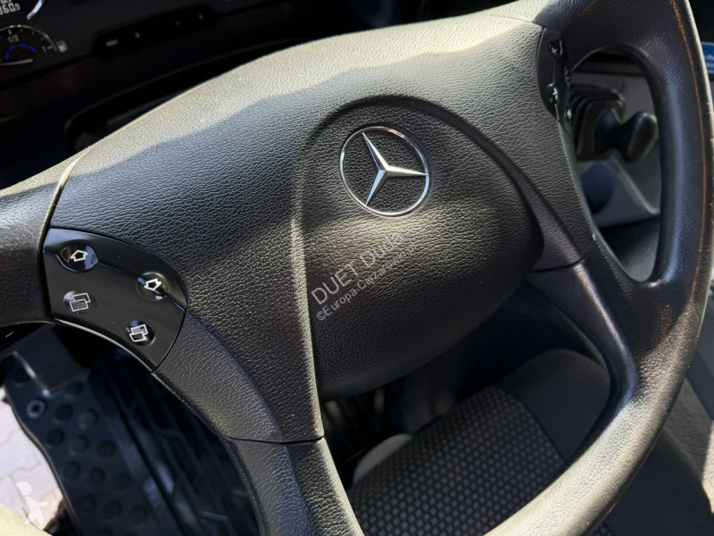 Camion Mercedes ACTROS Zwyżka WUMAG WT 530...