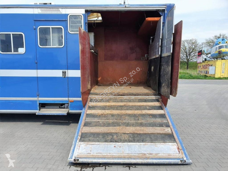 Kamion  1117 L (KONIOWÓZ)