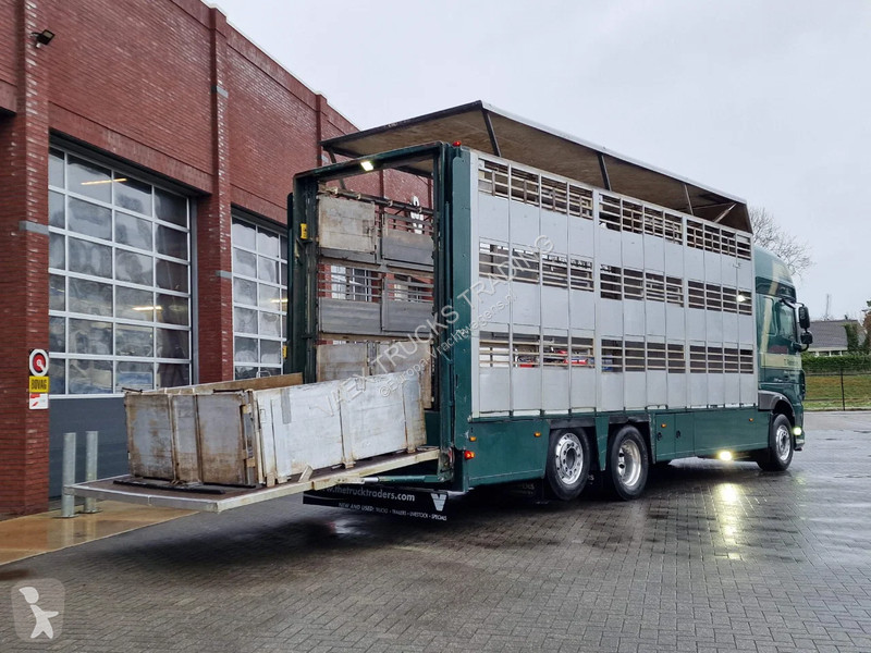 شاحنة DAF 440 SuperSpaceCab 6x2*4 - Cuppers...