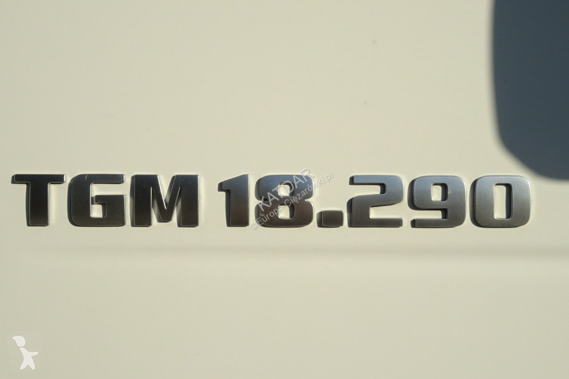 شاحنة MAN TGM 18.290 Euro 6 kontener 21 pal...