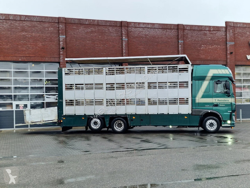شاحنة DAF 440 SuperSpaceCab 6x2*4 - Cuppers...