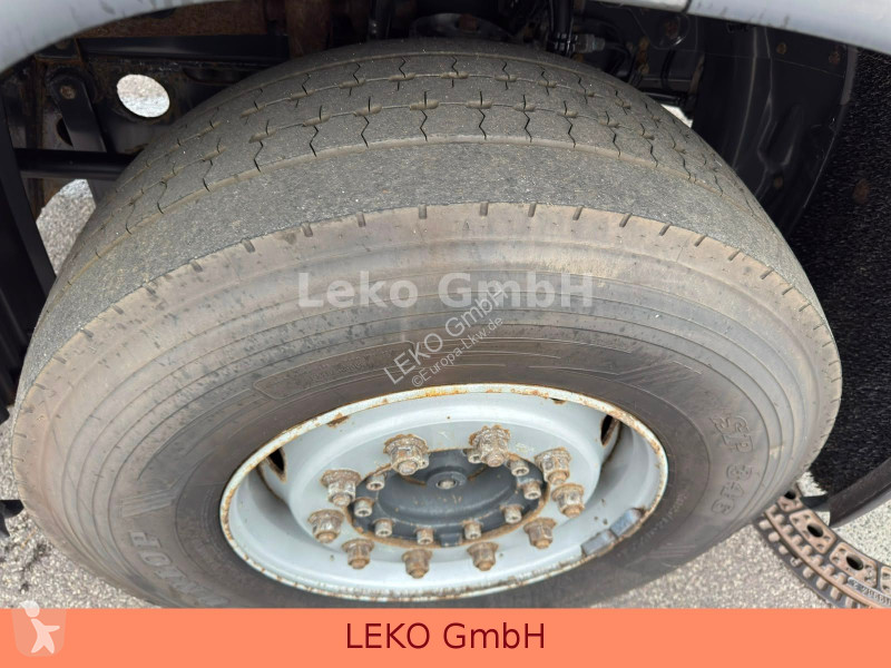 شاحنة Scania 310 Mit Schneeflugschild(Original...