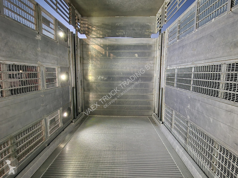 Kamion Volvo 13500 XL 6x2 - Pezzaioli livestock...