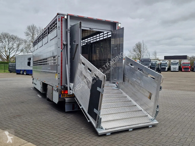 Camion Renault D210 4x2 - NEW - Pezzaioli 1...