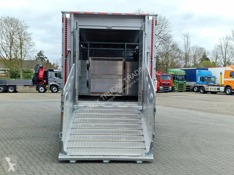 Camion Renault D210 4x2 - NEW - Pezzaioli 1...