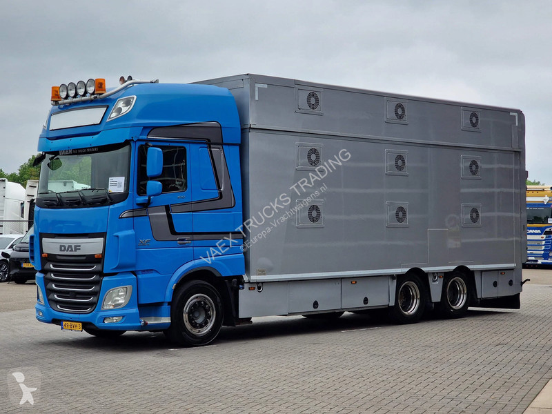 شاحنة DAF 510 6x2 SuperSpaceCab - Livestock...