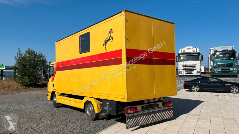 شاحنة MAN 10.180 Euro 4  Pferdetransporter Horse
