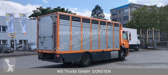 Camion DAF 400 Menke Einstock Viehtransporter
