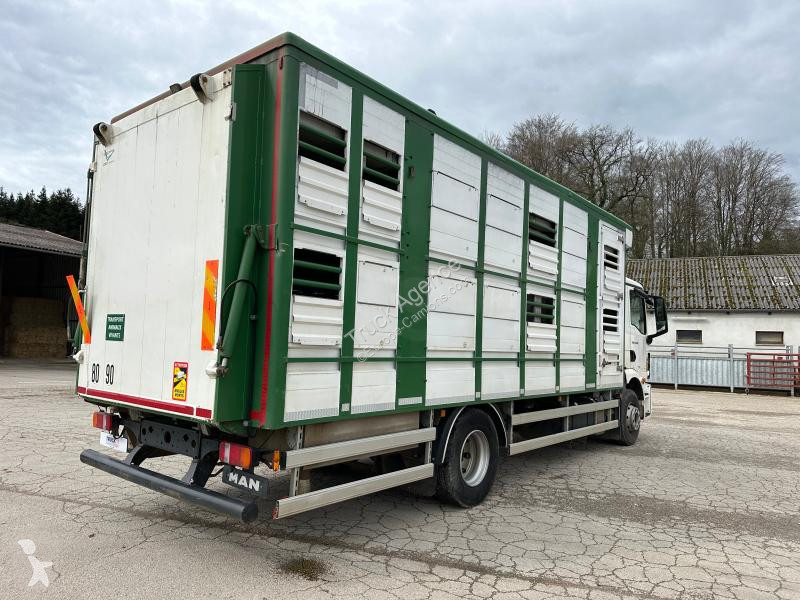 Camion MAN 15.2 TG