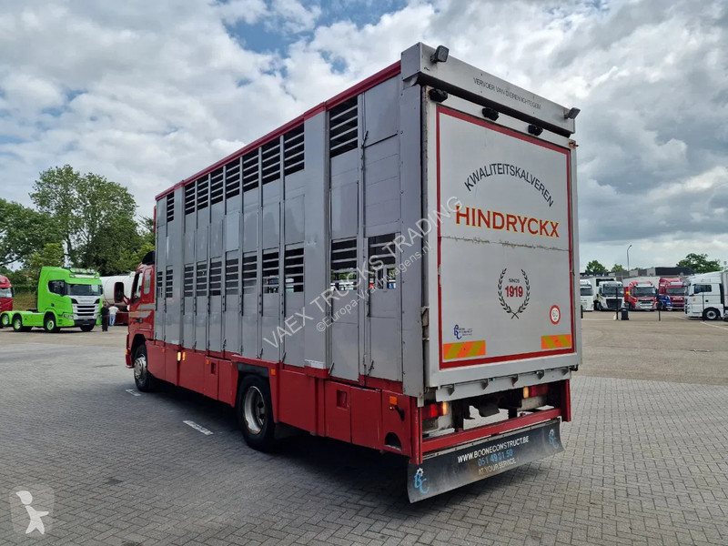 Camión Volvo 250 4x- Livestock 2 deck - Lifting...
