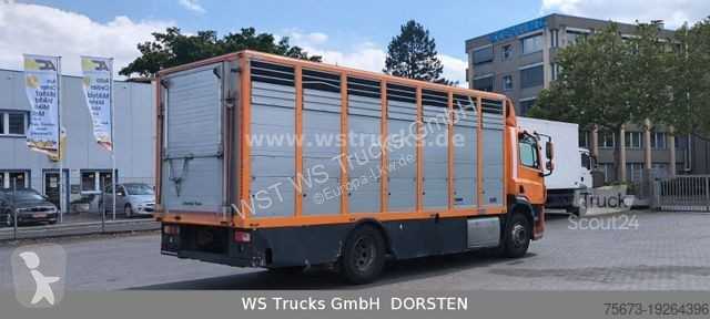 Camion DAF CF 400 Menke Einstock Viehtransporter