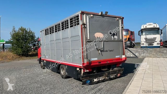 Kamion MAN TGL 10.220 Viehtransporter Rampe...