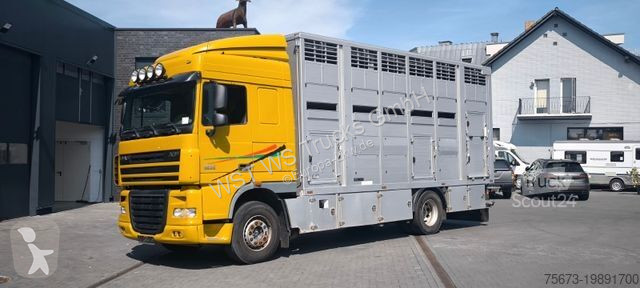 Camion DAF XF 410 SC Menke Doppelstock