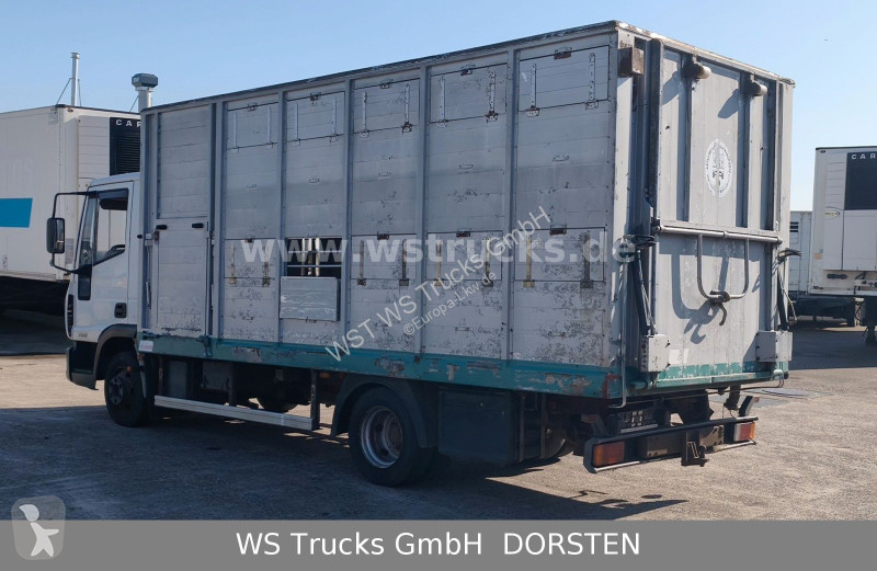 شاحنة Iveco ML 1Q Viehtransporter 1 Stock