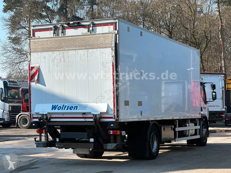 شاحنة DAF 290 FA 4x2 BL  TKing Kühlkoffer BÄR...
