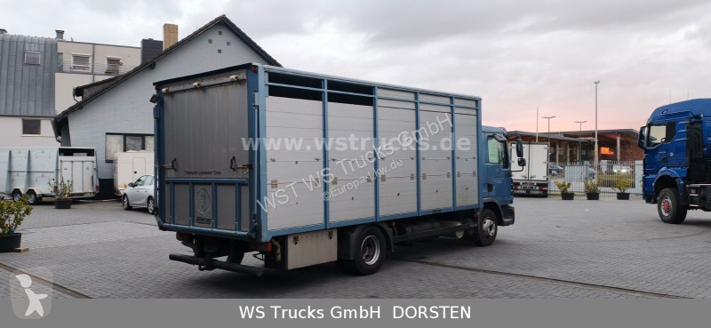شاحنة MAN 10.210 1 Stock Viehtransporter