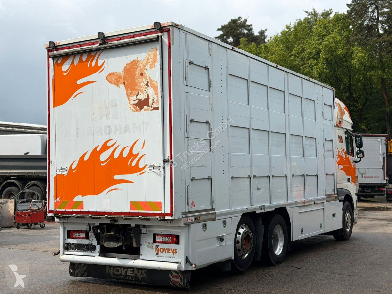 Camion DAF FT 6x2 BL EU6 3.Stock...