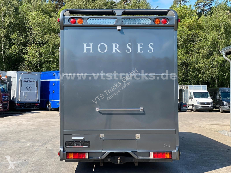 شاحنة Mercedes 818 Pferdetransporter