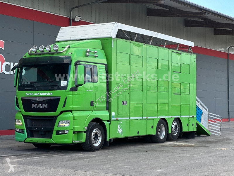 شاحنة MAN TGX 6x2 3.Stock Cuppers, Lenk-/Lift