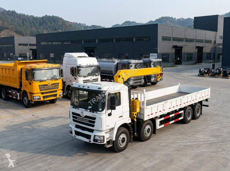 Camion Shacman CRANE TRUCK MT 8x4