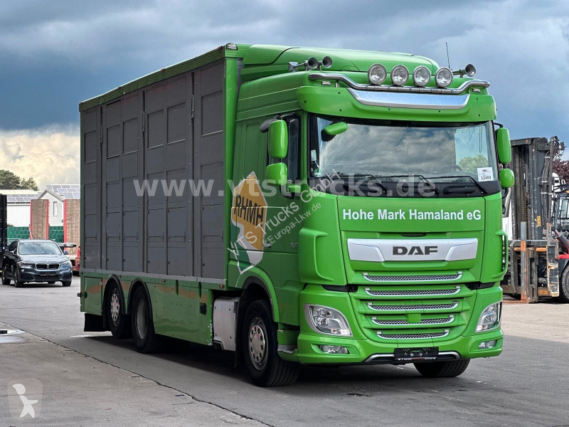 Camion DAF 480 LL 6x2 3.Stock Menke Viehwagen...