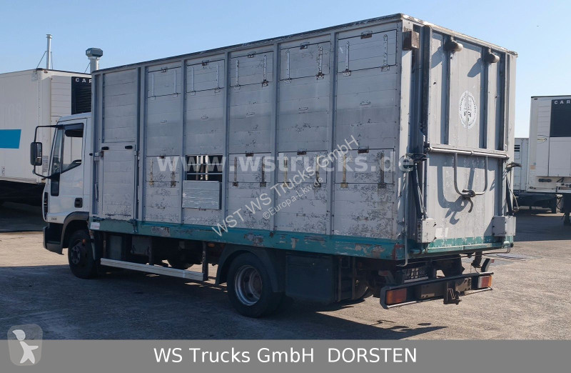 Lastbil Iveco ML 1Q Viehtransporter 1 Stock