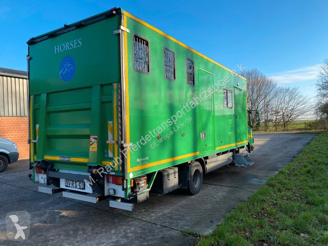 Camion Mercedes Pferdetransporter