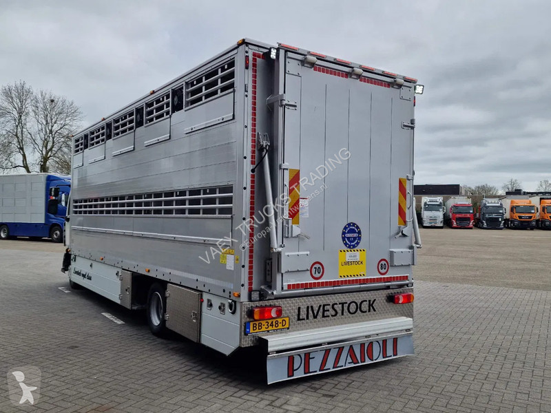 Camion Renault D210 4x2 - NEW - Pezzaioli 1...