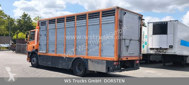 Camion DAF 400 Menke Einstock Viehtransporter