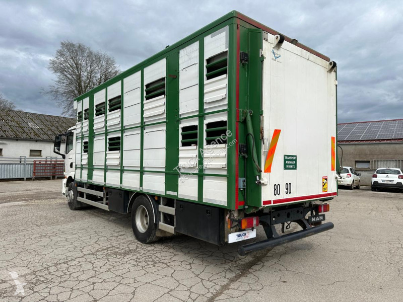 Camion MAN 15.2 TG