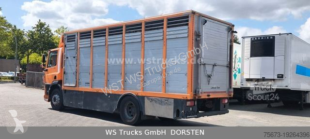 Camion DAF CF 400 Menke Einstock Viehtransporter