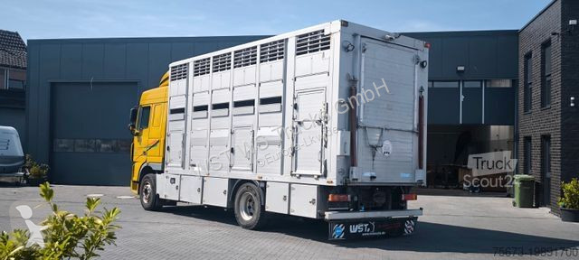 Camion DAF XF 410 SC Menke Doppelstock
