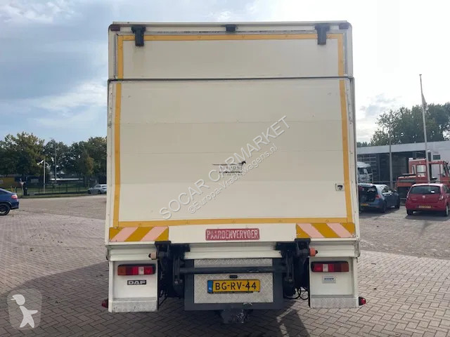Lastbil DAF LF CLEAN HORSES NL-TRUCK