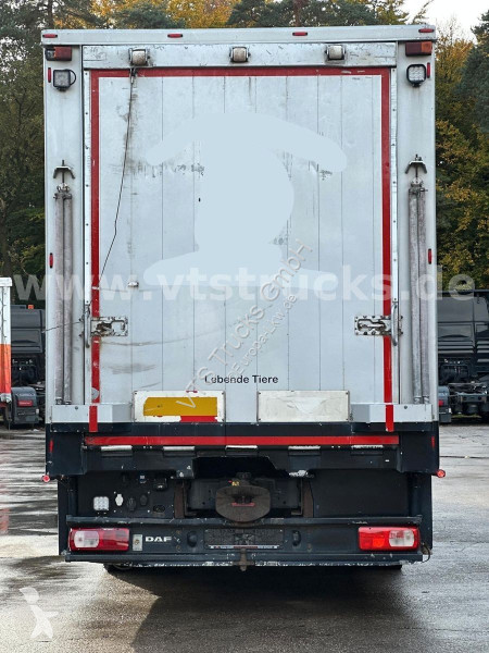 شاحنة DAF 530 4x2 Finkl 2.Stock Viehaufbau