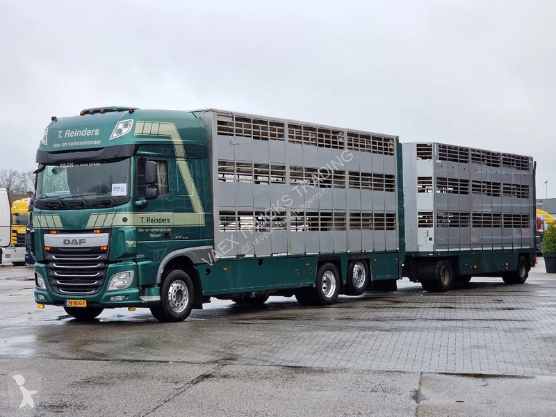 شاحنة DAF 440 SuperSpaceCab 6x2*4 - Cuppers...