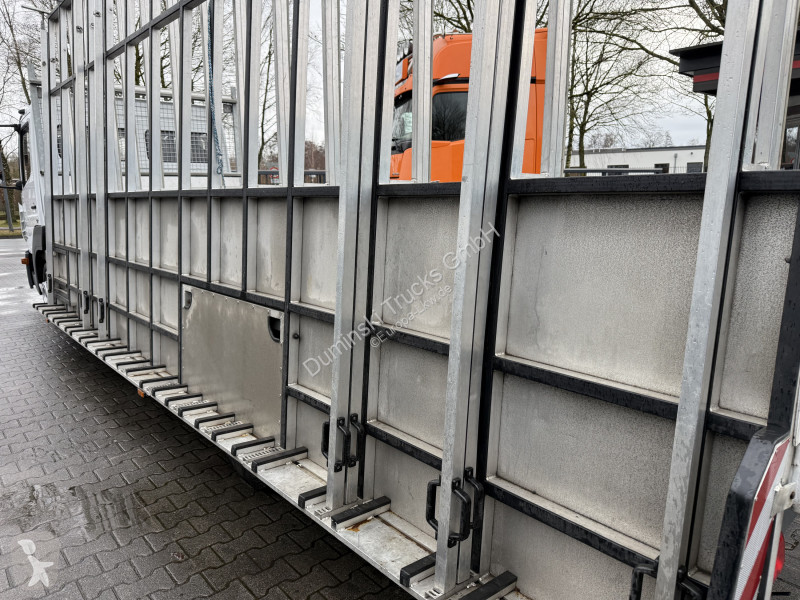 Mercedes 818 Hegla Glasreff truck