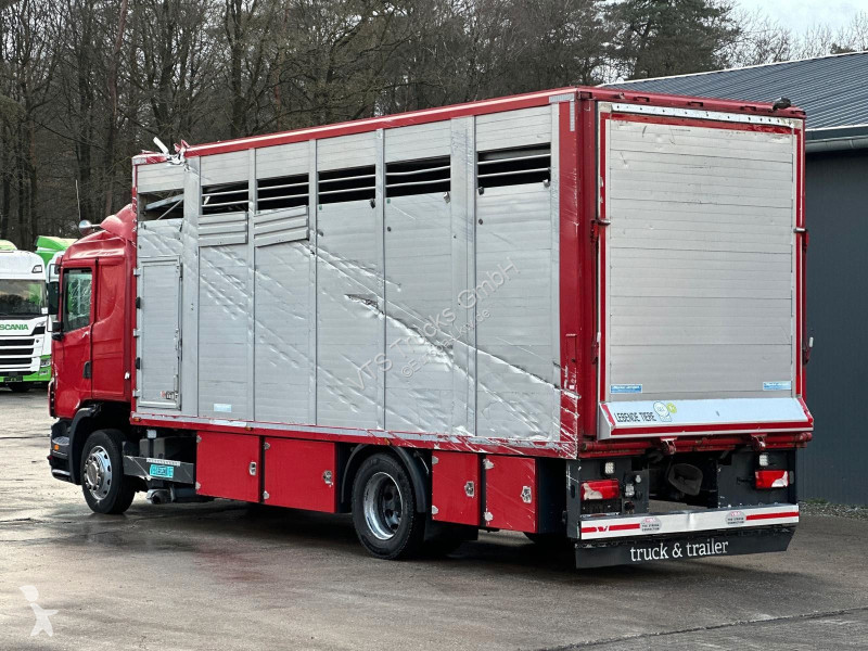 شاحنة Scania G380 B 4x2 1.Stock Menke-Janzen...
