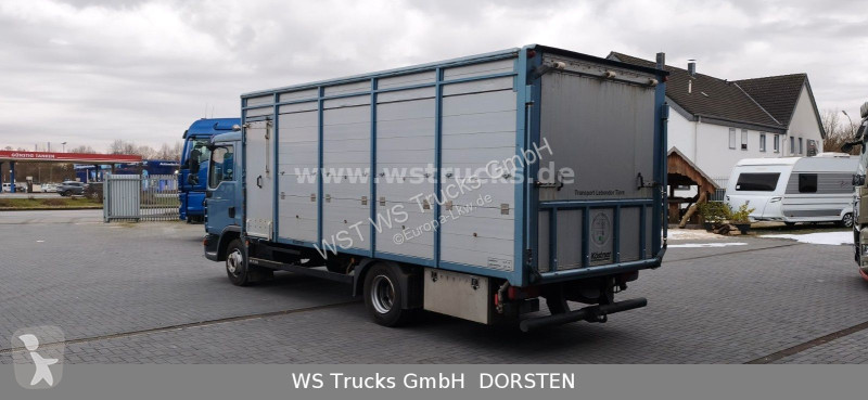 شاحنة MAN 10.210 1 Stock Viehtransporter