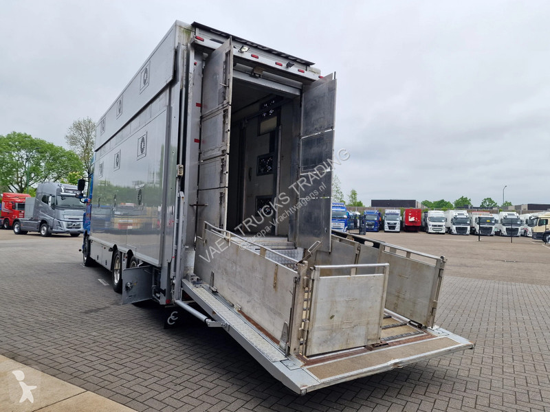 شاحنة DAF 510 6x2 SuperSpaceCab - Livestock...