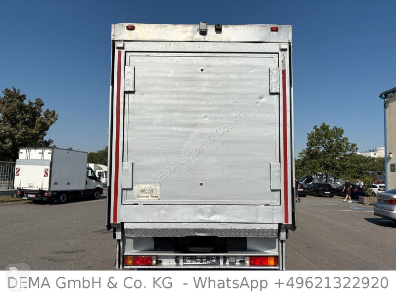 شاحنة MAN TGS *Finkl 3Stock*Waage*Lenk+Lift*TÜV...