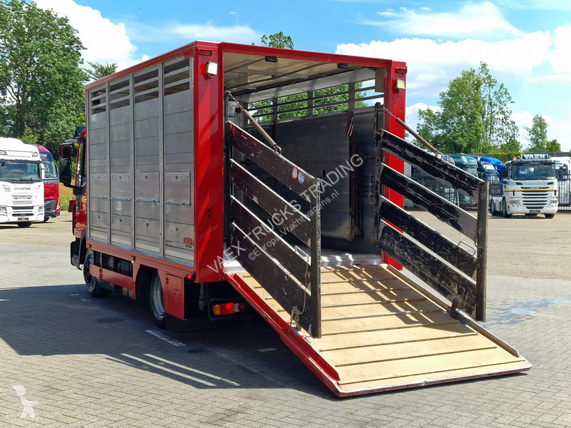 شاحنة Iveco 75.190 - Finkl Livestock 1 deck -...