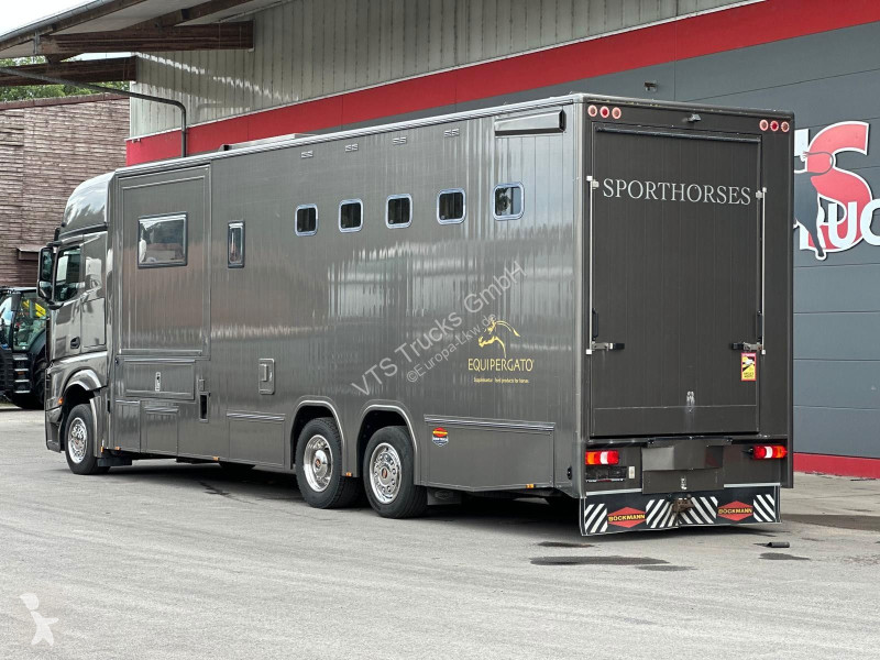 Mercedes 2543 BÖCKMANN Pferde,-Wohnmobil...