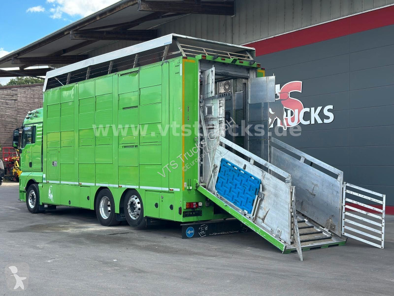 شاحنة MAN TGX 6x2 3.Stock Cuppers, Lenk-/Lift